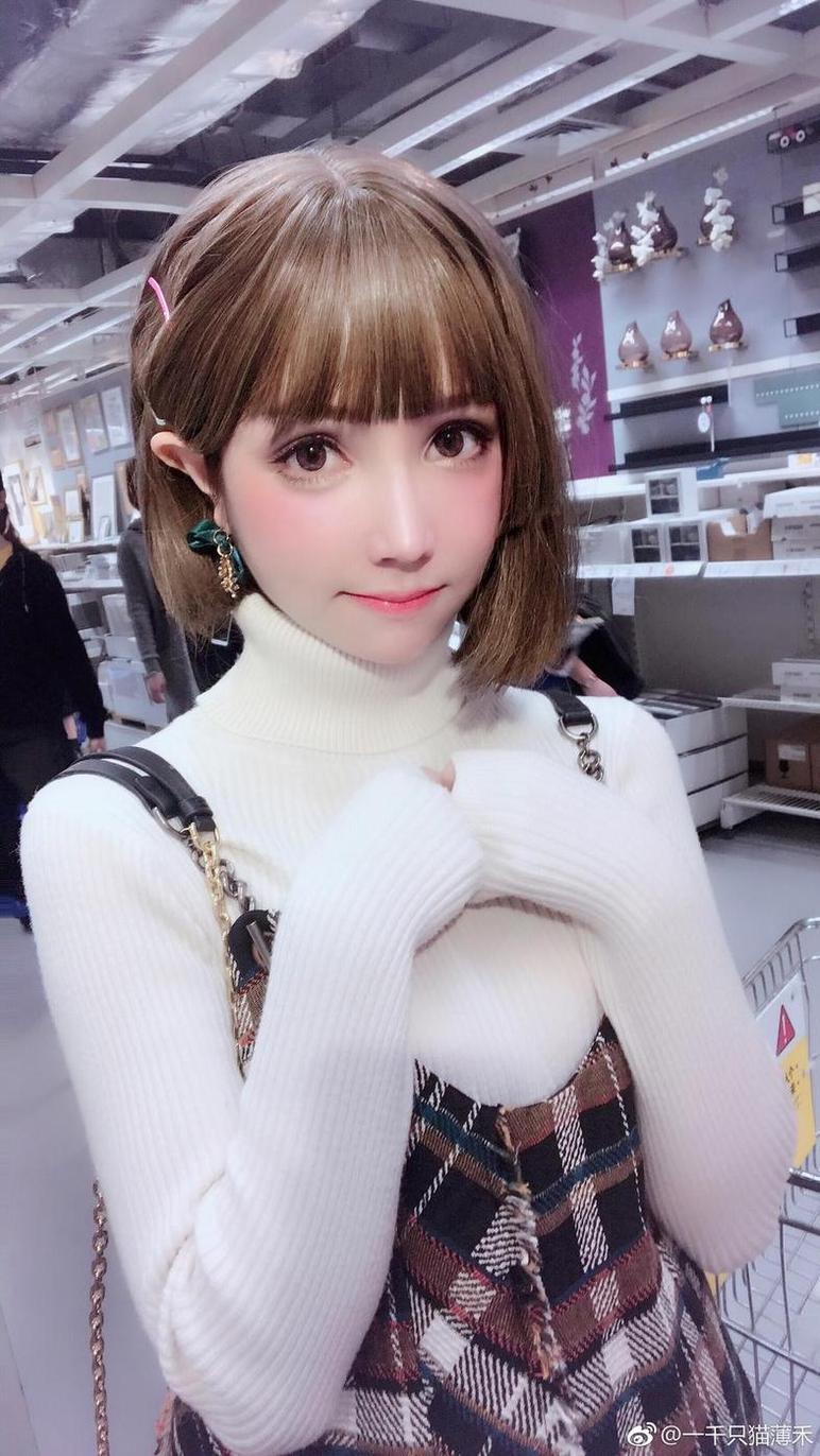 童话国度:一千只猫薄禾美图原图集(童话王国中文版) 童话国度:一千只猫薄禾美图原图集(童话王国中文版)