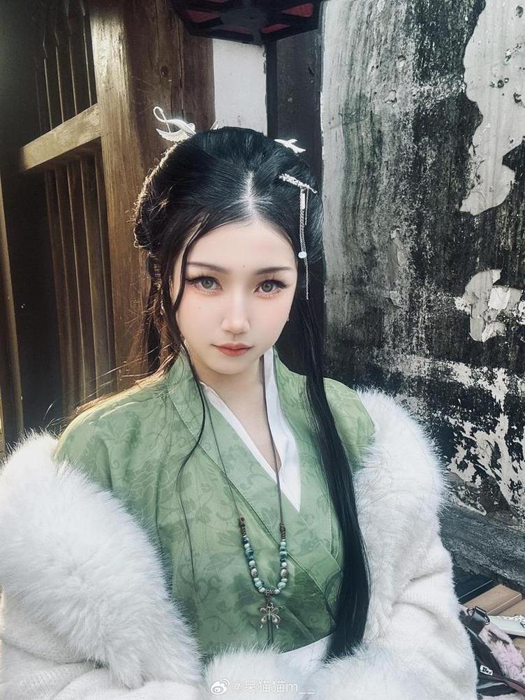 不呆猫写真:照片集锦分享(不呆猫图包) 不呆猫写真:照片集锦分享(不呆猫图包)