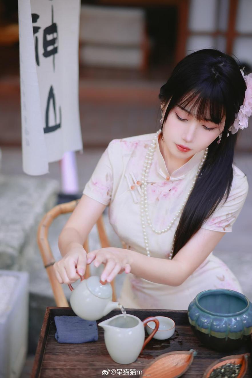 不呆猫的代表照片,教你如何拍出好看的大片(不呆猫图包) 不呆猫的代表照片,教你如何拍出好看的大片(不呆猫图包)