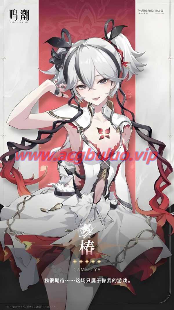 鸣潮·椿COS:Noey_Pejrapon演绎黑海岸执花的性感与优雅(鸣潮椿专属歌曲) 鸣潮·椿COS:Noey_Pejrapon演绎黑海岸执花的性感与优雅(鸣潮椿专属歌曲)