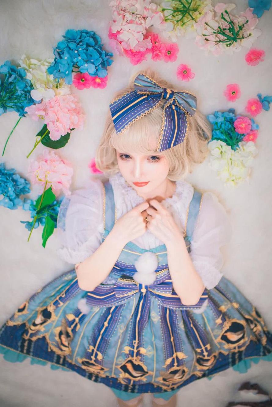 一千只猫薄禾豹猫带来的精选图片，极具收藏价值(一千只猫薄禾小豹猫w)