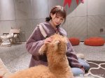 梦幻狐仙cos合集，凉凉子网盘精选原图。(梦幻仙尾狐什么颜色好看)
