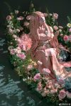 花了几年的时间，终于可以向你分享云溪溪水池图片免费。(花了很多时间)