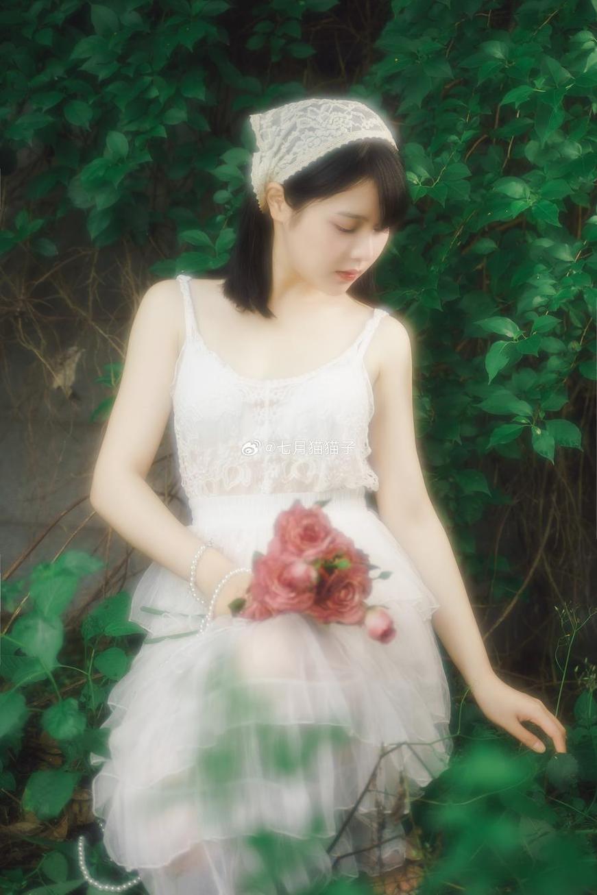 更多维度的拍摄，更多细节的呈现，这是我摄影中七月喵子酸奶图片最好的展示。(摄影维度和内容的分析)