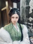 不呆猫写真：照片集锦分享(不呆猫图包)