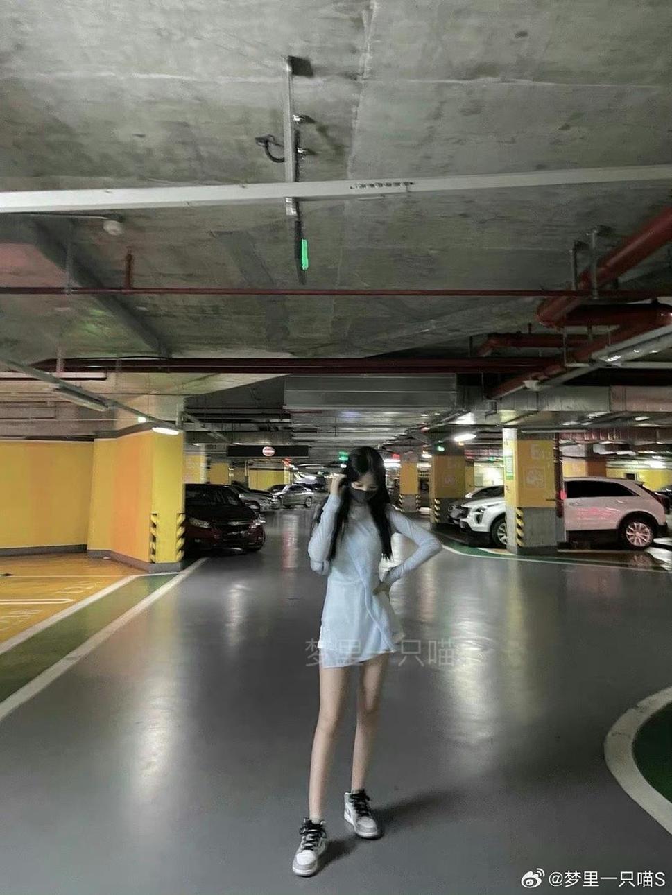 梦里一只喵朋友圈：定制原图，个性定制你的专属猫咪(梦见猫和朋友是什么意思)