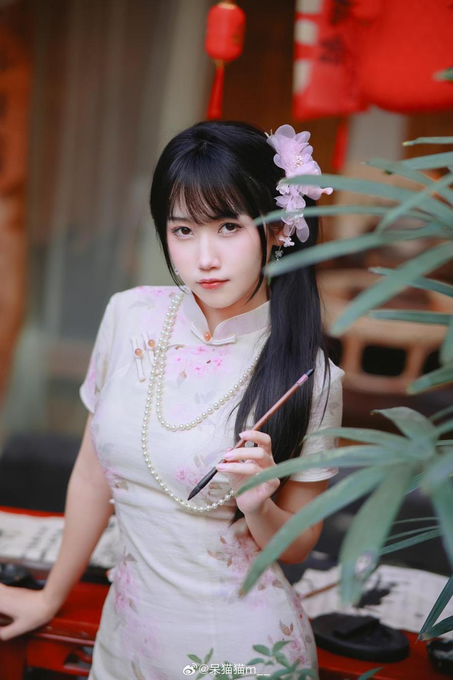 不呆猫推图网独家合集，精选图片必收藏(不呆猫全套)