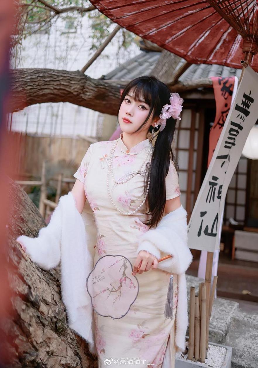 不呆猫抖娘选的这些精选美图真的好看(不呆猫图包)