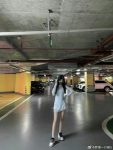 梦里一只喵合集：夜晚摄影作品精选(梦里一只喵图库)