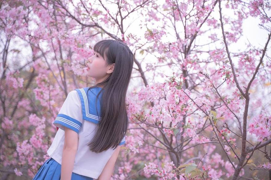 独家揭秘！萌芽儿o0瓶儿cos美图大曝光(独家揭秘!萌芽在线播放)